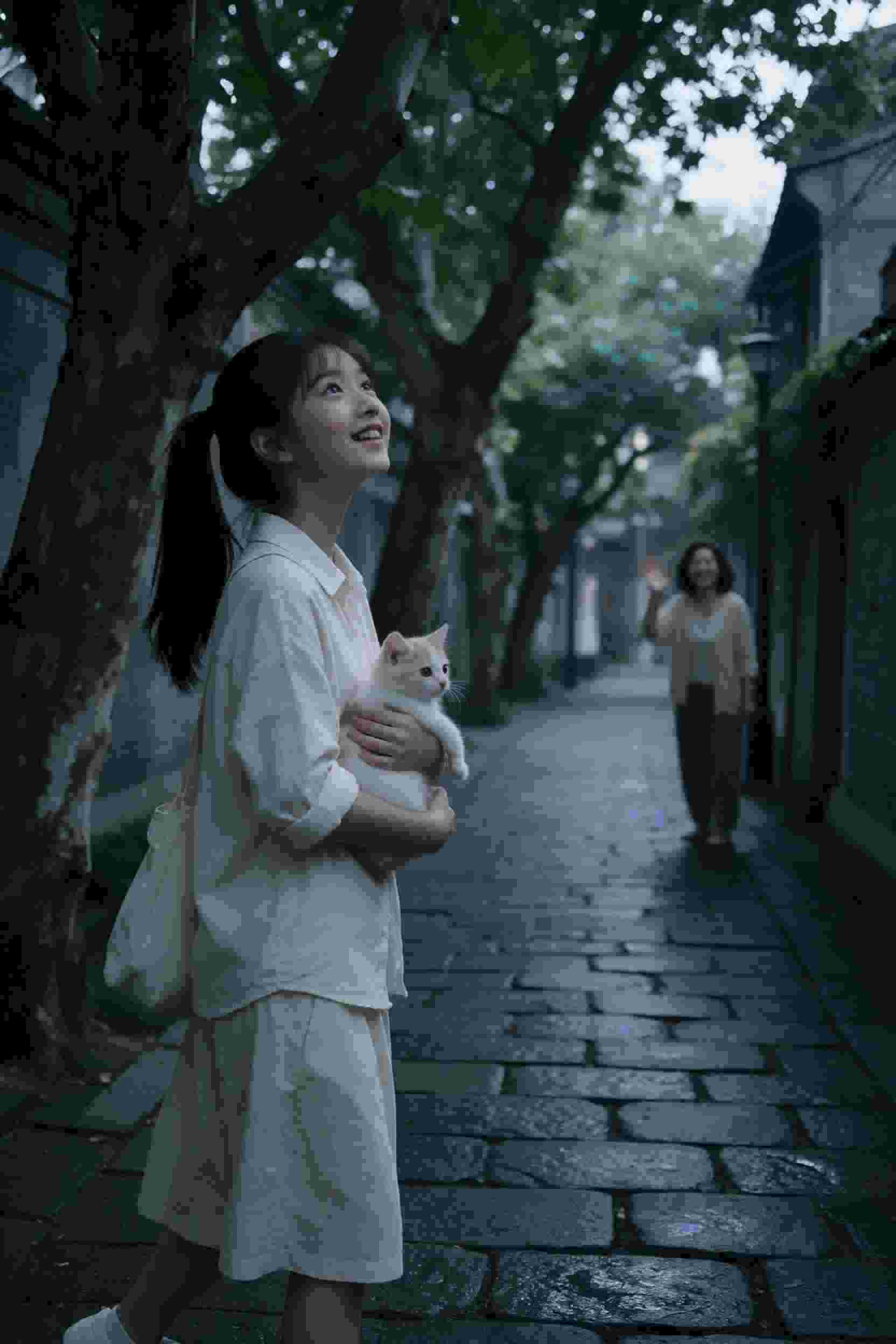 归家的路